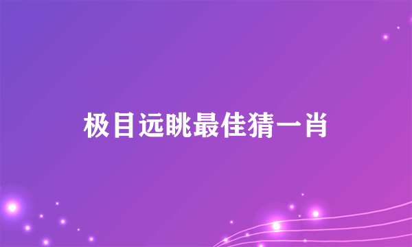 极目远眺最佳猜一肖