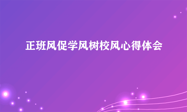正班风促学风树校风心得体会