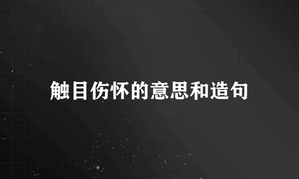 触目伤怀的意思和造句