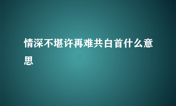 情深不堪许再难共白首什么意思