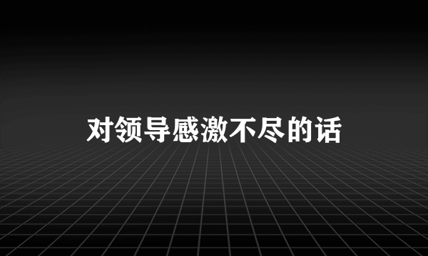 对领导感激不尽的话