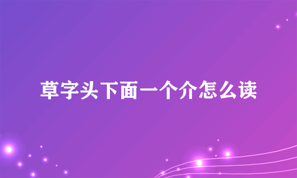 草字头下面一个介怎么读