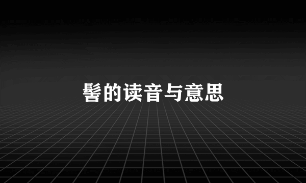 髻的读音与意思