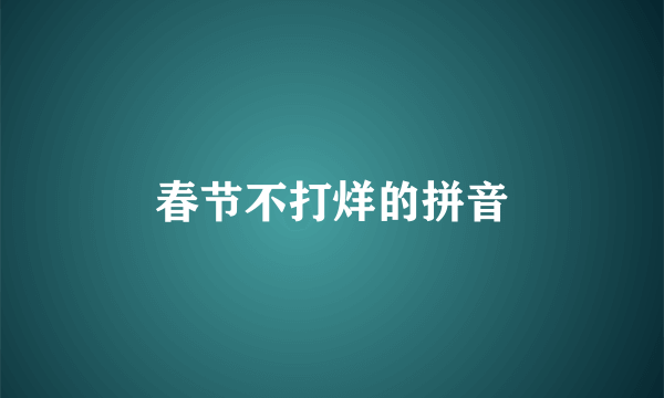 春节不打烊的拼音
