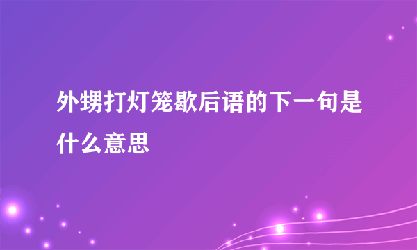 外甥打灯笼歇后语的下一句是什么意思