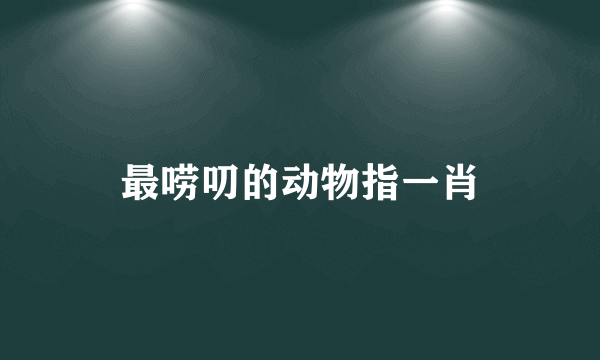 最唠叨的动物指一肖