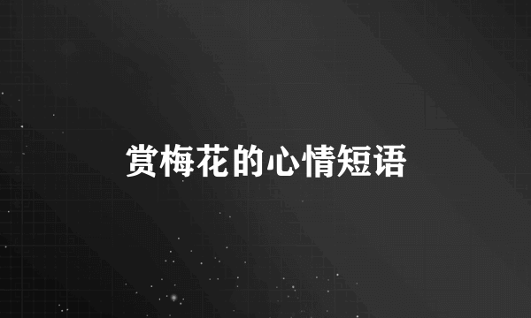赏梅花的心情短语