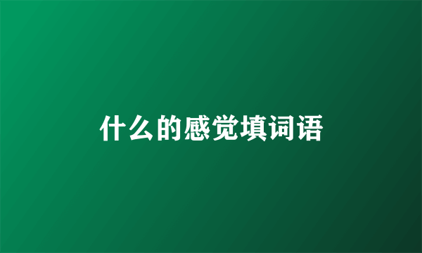 什么的感觉填词语