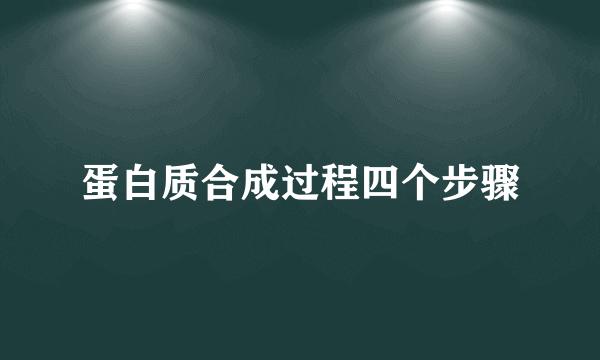 蛋白质合成过程四个步骤