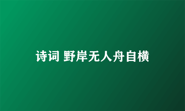 诗词 野岸无人舟自横