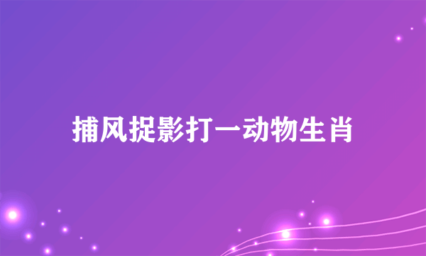 捕风捉影打一动物生肖