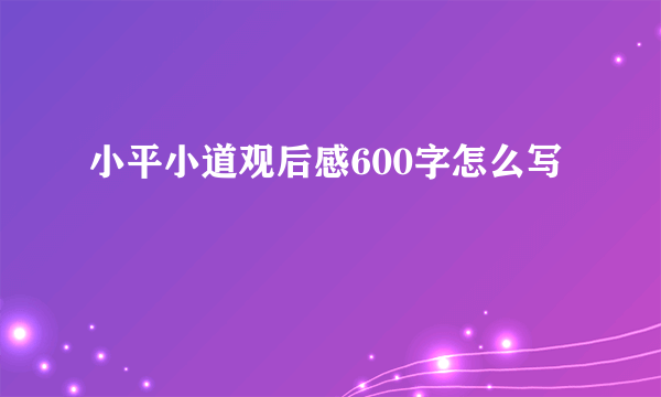 小平小道观后感600字怎么写