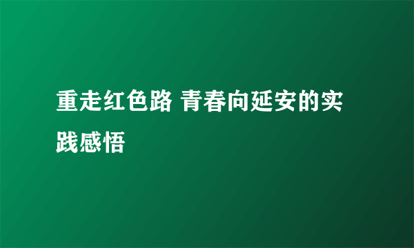 重走红色路 青春向延安的实践感悟