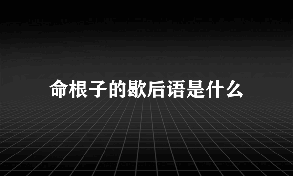 命根子的歇后语是什么