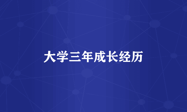 大学三年成长经历
