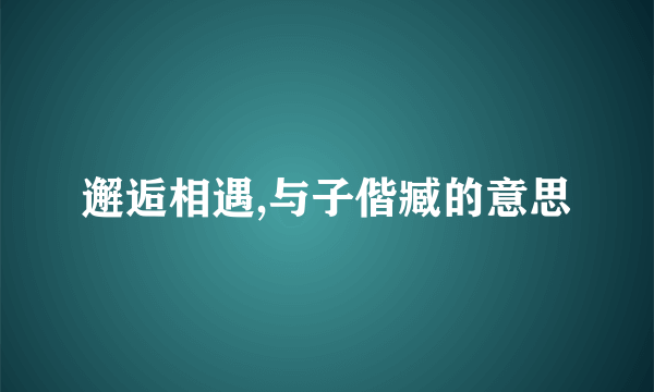 邂逅相遇,与子偕臧的意思