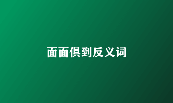 面面俱到反义词