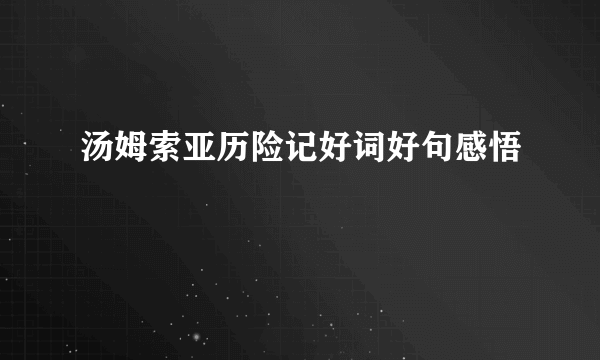 汤姆索亚历险记好词好句感悟