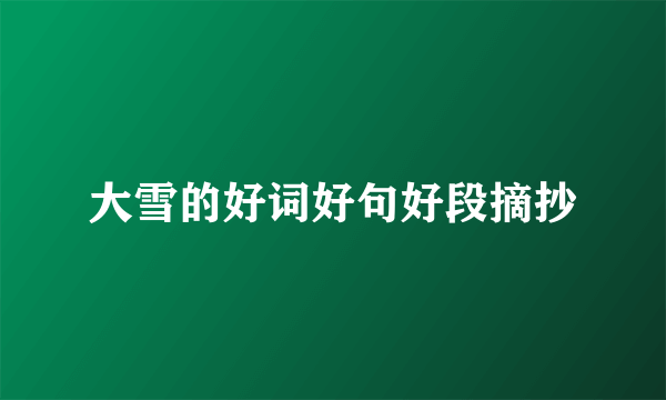 大雪的好词好句好段摘抄