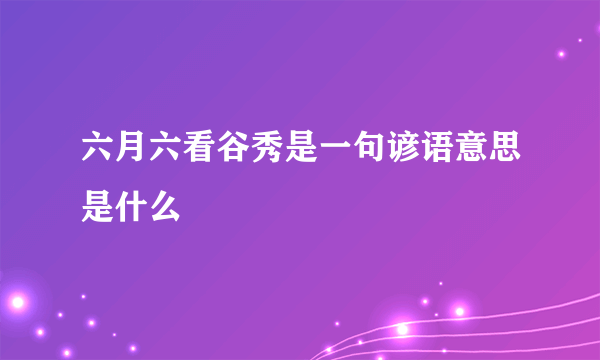 六月六看谷秀是一句谚语意思是什么