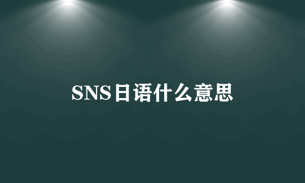 SNS日语什么意思