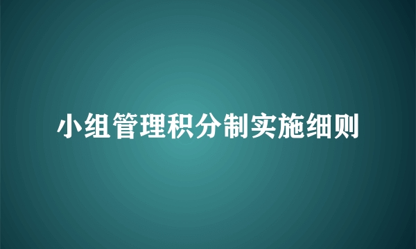 小组管理积分制实施细则