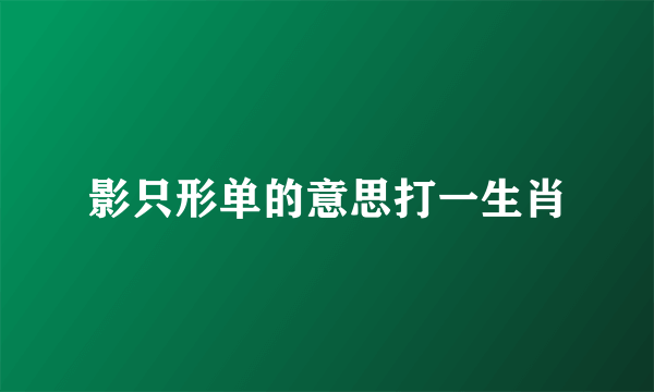 影只形单的意思打一生肖