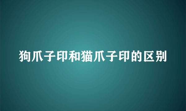 狗爪子印和猫爪子印的区别