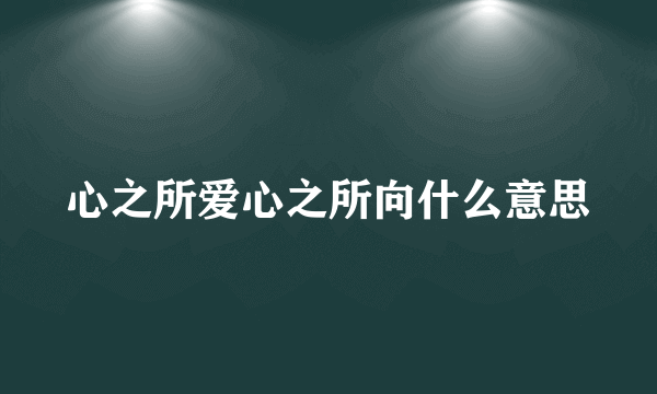 心之所爱心之所向什么意思