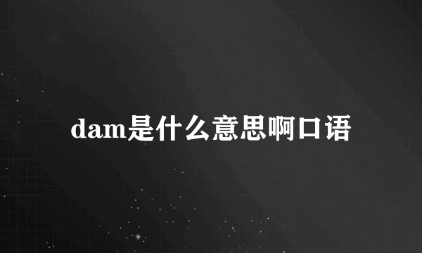 dam是什么意思啊口语