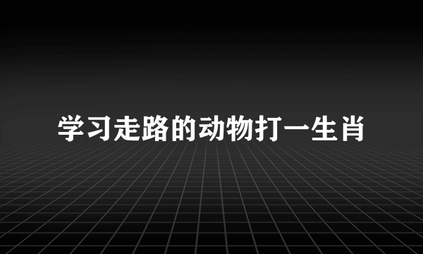 学习走路的动物打一生肖
