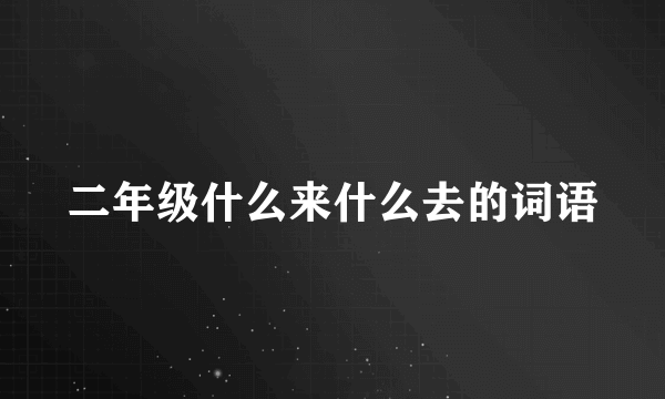 二年级什么来什么去的词语