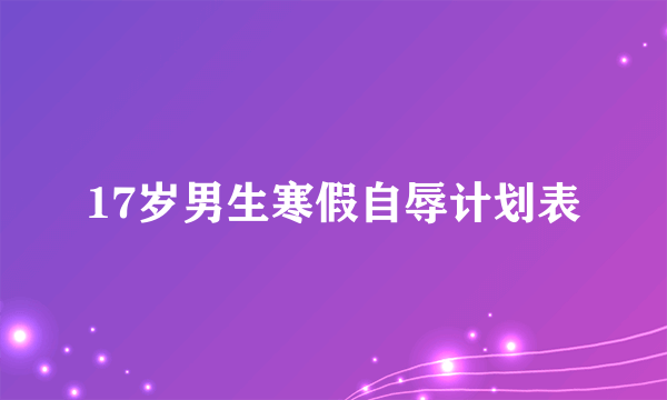17岁男生寒假自辱计划表