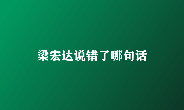 梁宏达说错了哪句话