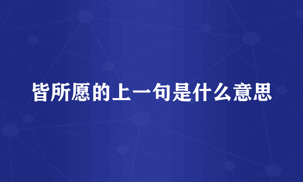 皆所愿的上一句是什么意思