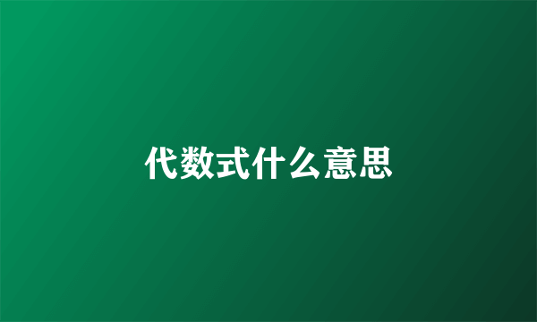代数式什么意思