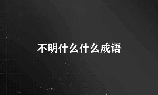 不明什么什么成语