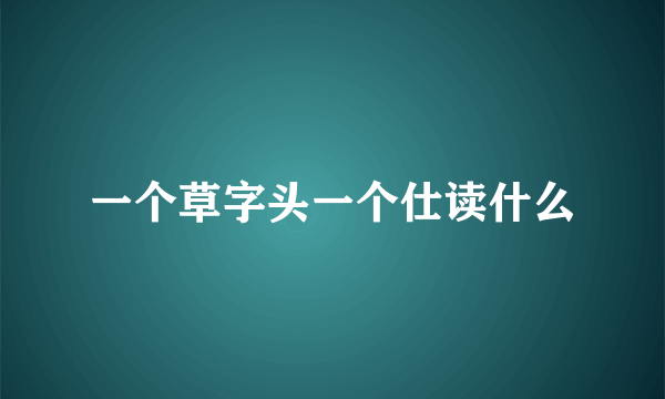 一个草字头一个仕读什么