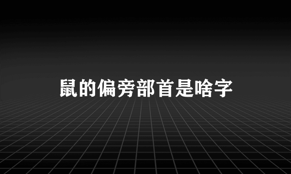 鼠的偏旁部首是啥字