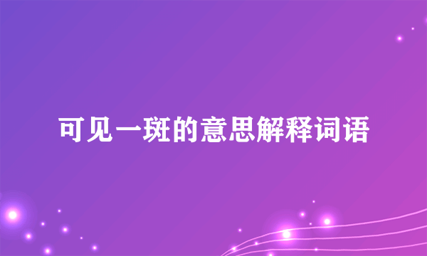 可见一斑的意思解释词语