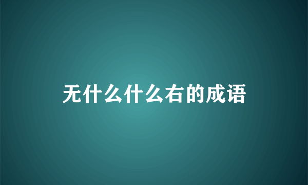 无什么什么右的成语
