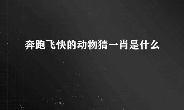 奔跑飞快的动物猜一肖是什么