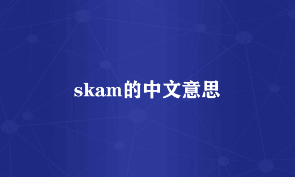 skam的中文意思