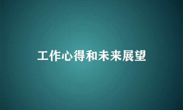 工作心得和未来展望