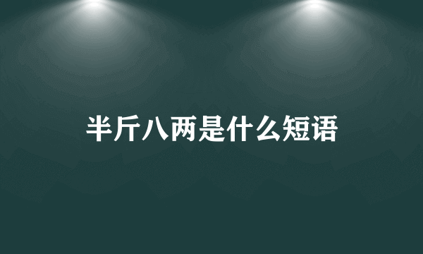 半斤八两是什么短语