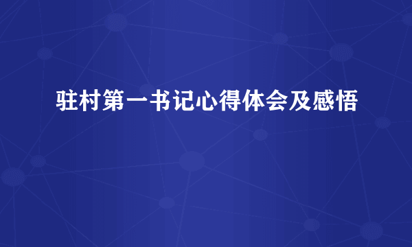 驻村第一书记心得体会及感悟