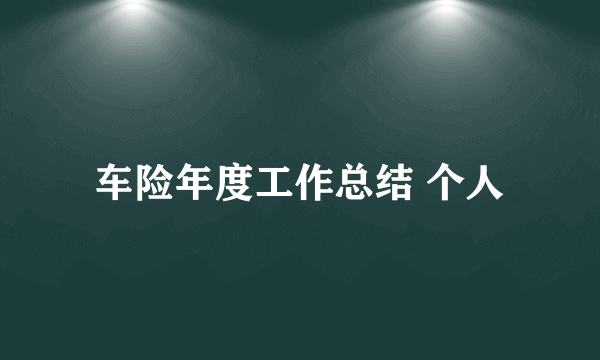 车险年度工作总结 个人