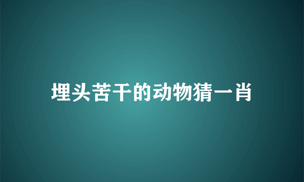 埋头苦干的动物猜一肖