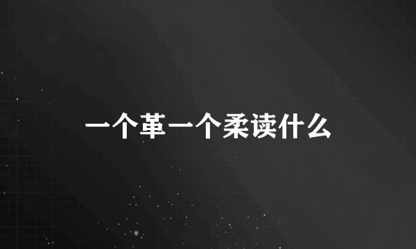 一个革一个柔读什么