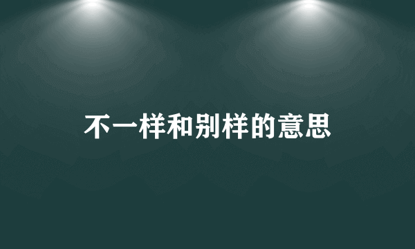 不一样和别样的意思